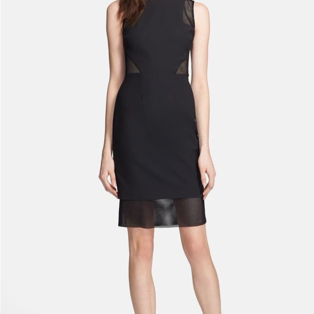 Elizabeth and James Black Mesh Detail Midi Dress